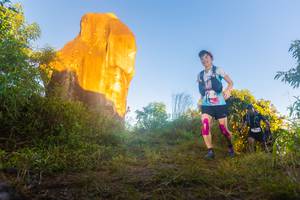 BIB: 
                            <button type="button" onclick="openModal(19304488)" class="btn btn-primary btn-sm float-right btn-popup" data-toggle="modal" data-target=".modal-high-quality">
                        <i class="fas fa-shopping-cart"></i> Add to Cart
                    </button>
                                            <button type="button" onclick="isThisMe(19304488, true)" class="btn btn-success btn-sm float-right btn-popup btn-isme hidden" data-toggle="tooltip" data-placement="bottom" title="นี่คือรูปของคุณใช่ไหม คลิกที่นี่เพื่อเอาเข้าอัลบั้ม">
                        <i class="fas fa-plus"></i> Add to album
                    </button>
                    <button type="button" onclick="isThisMe(19304488, false)" class="btn btn-warning btn-sm float-right btn-popup btn-isnotme hidden">
                        <i class="fas fa-ban"></i> Remove from album
                    </button>